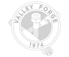 Valley Forge Logo